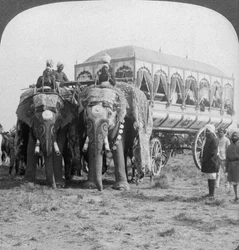 Rijkelijk versierde olifanten en koets van de Maharaja van Rewa bij de Delhi Durbar, India, 1903