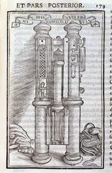Een Phagotus (Phagotum). Pagina uit Introductio door Theseus Ambrosius Albonesius
