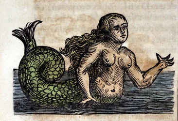 Een Sirene, Legendarisch Persoon - Gravure uit een werk van Athanasius Kircher (1601 - 1680), Jezuïet, Oriëntalist en Duitse geleerde