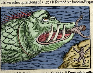 Een zeemonster slaat een zwemmer nabij de kust van Noorwegen. Gravure door Olaus Magnus (1490 - 1557), Zweedse geestelijke en geograaf, “Historia de Gentis Septentrionalibus”, Venetië