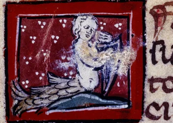 Een sirene - bestiarium uit de 14e eeuw. Milaan, Biblioteca Trivulziana