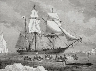 Een walvisvaarder met een boot vast aan een 