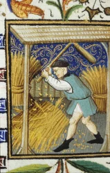 Allegorische voorstelling van augustus. Een boer die tarwe slaat. Miniatuur van een 14e-eeuws manuscript.