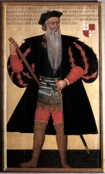 Afonso de Albuquerque (1453-1515), de Grote. Portret van de Portugese zeevaarder en ontdekkingsreiziger. 16e-eeuws schilderij. Lissabon, Museu Nacional de Arte Antiga