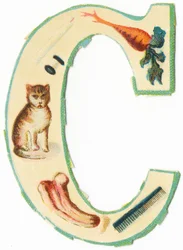 C: koraal, wortel, kaars, katoen, kat, kolokwint, kam