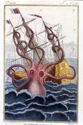 Kolossale octopus (octopus, reuzeninktvis, kraken) die een schip aanvalt - gravure uit het boek van Pierre Denys-Montfort (Denys de Montfort 1766-1820) 