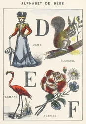 D E F: dame, eekhoorn, flamingo, bloemen