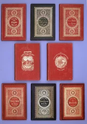 Verschillende omslagen van boeken van Jules Verne uitgegeven in Hetzel-edities. Verne bibliotheekcollectie. Parijs.