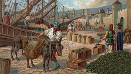 Oude winkelcentra: transport van vijgen naar Marseille in de Middeleeuwen. Chromolithografie van het einde van de 19e eeuw.