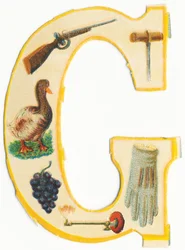 G: geweer, boor, gans, druif, gaslamp, handschoen