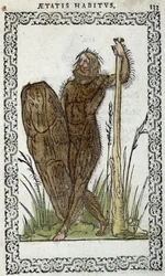 Homme sauvage - in "Habits et effigies" door Jean Sluperius