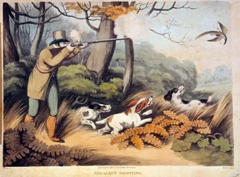 Jacht op fazanten in Engeland (19e eeuw) Gien, jachtmuseum