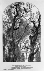 Illustratie voor "Ode aan een nachtegaal" door de dichter John Keats (1795-1821) 19e eeuw