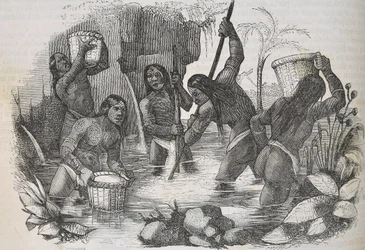 Indianen van het eiland Hispaniola die goud pannen
