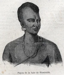 Inheemse bevolking van Nieuw-Guinea: Papua van Humboldtbaai. Gravure in 