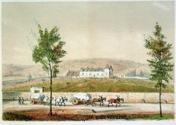 Le clos Vougeot, wijngaard van Cote d