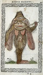 Le cyclope - in 