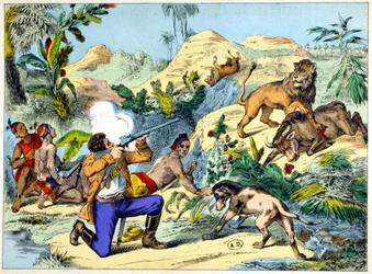 Leeuwenjacht in Zuidelijk Afrika. 19e-eeuwse gravure.