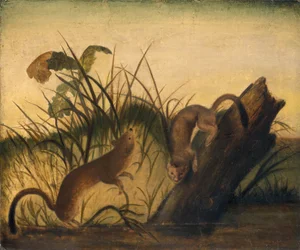 Langstaartwezel, ca. 1845 (olieverf op doek)