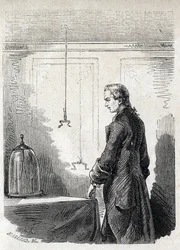 Luigi Galvani veroorzaakt samentrekkingen bij een kikker met elektriciteit van een bliksemafleider