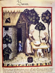 Boterproductie. Illustratie uit de melk van geneeskunde en diëtetiek "Tacuinum sanitatis"