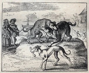 Oud Engels spreekwoord: twee honden vechten om een bot en de derde neemt het weg