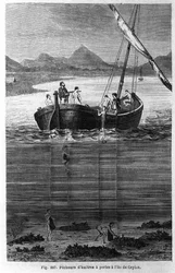 Parelduikers in Ceylon (het huidige Sri Lanka)