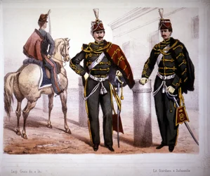 Piacenza Huzaren (Italië), kostuum in 1866