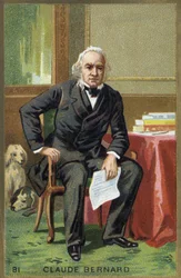 Portret van Claude Bernard (1813-1878), Franse fysioloog