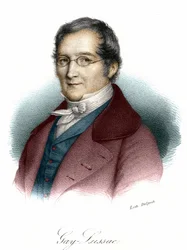 Portret van Louis-Joseph Gay-Lussac (Louis Joseph Gay Lussac) (1778-1850), Franse natuurkundige en chemicus
