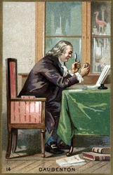 Portret van Louis Jean Marie Daubenton, genaamd Daubenton (1716 - 1800), Franse natuuronderzoeker