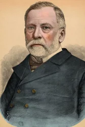 Portret van Louis Pasteur (1822-1895), Franse chemicus en bioloog