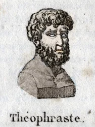 Portret van Theophrastus (372 v.Chr.- 287 v.Chr.), Griekse filosoof.
