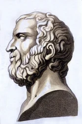 Portret van de Griekse filosoof Zenon van Citium (335 v.Chr. - 264 v.Chr.), oprichter van het stoïcisme. Gravure uit de 19e eeuw.