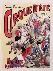 Poster voor Cirque d