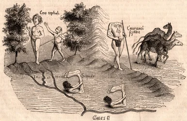 Voorstelling van middeleeuwse stammen en diersoorten: Monocules, Blemmys, Sciopodes en kamelen