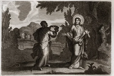 Royaumont Bijbel, Nieuwe Testament: Jezus Christus in de woestijn. Jezus wordt de woestijn in gedreven. Hij vast veertig dagen en veertig nachten. Hij wordt verleid door de demon die hem uitnodigt om stenen in brood te veranderen. Illustratie uit 1811.
