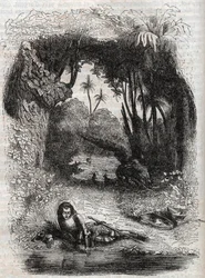 Ruggiero op het eiland van Alcina, - 1851 gravure uit het gedicht Orlando furioso (1516) door Ludovico Ariosto, - Editie vertaald uit het Italiaans door de Graaf van Tressan en uitgegeven door Gustave Harvard 1851
