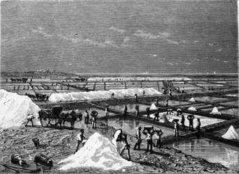Zoutproductie: uitzicht op een zoutpan (saline) 19e-eeuwse gravure