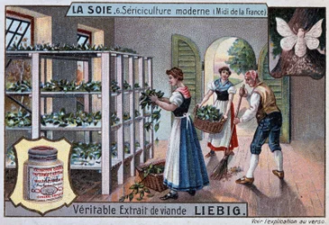 Zijde: zijdefabriek in het zuiden van Frankrijk, Liebig reclame, ca. 1895