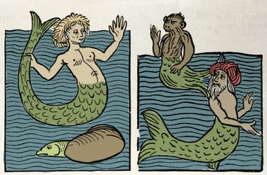 Sirene of Maagd van de Zee, Aap en Zee Turk