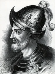 Stephen van Blois (Etienne d