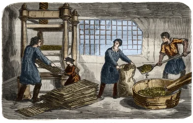 Suikerproductie: extractie van sap uit bietpulp. De pulp wordt in zakken gestopt die onder de bak van een hydraulische pers worden gestapeld. Gravure uit 1859 in 