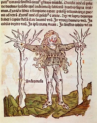 De constellatie van Andromeda (detail)