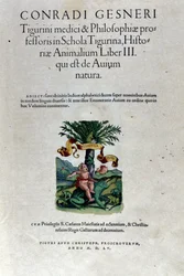 Het frontispice van het derde deel door Historia Animalium door Conrad Gesner (1516 - 1565), Tiguri