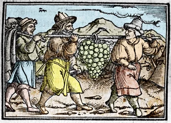 De terugkeer van Jozua en Kaleb met een enorme druiventros uit het land Kanaän (kroniek door Johann Stumpff)
