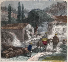 De zagerij. 19e-eeuwse illustratie. Bianchetti Collectie