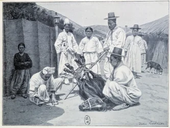 Manier om een paard te halen in Korea - gravure