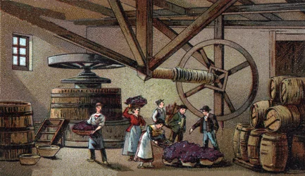 Wijnproductie: wijnpers van het hospice van Beaune (clos vougeot)