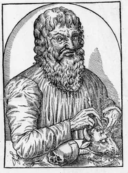Portret van Hippocrates (460- rond 377 v.Chr.), Griekse arts.